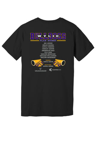 Wylie Youth Cheer - Flag