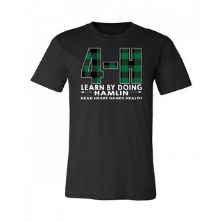 4H - Plaid